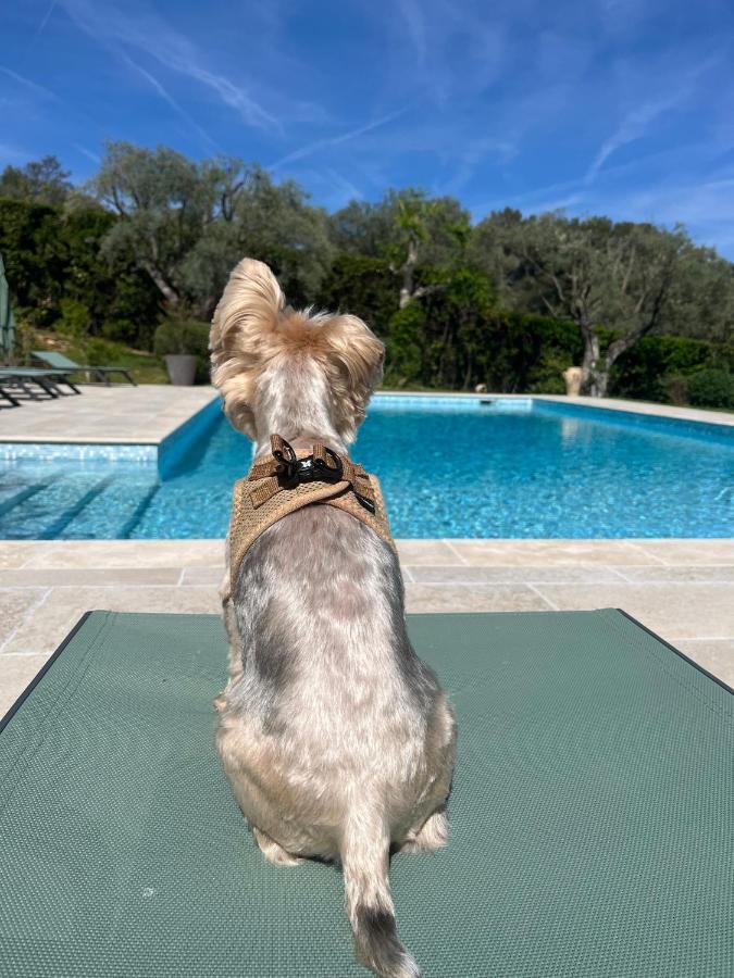Le Clos Serein Le Beausset Bagian luar foto