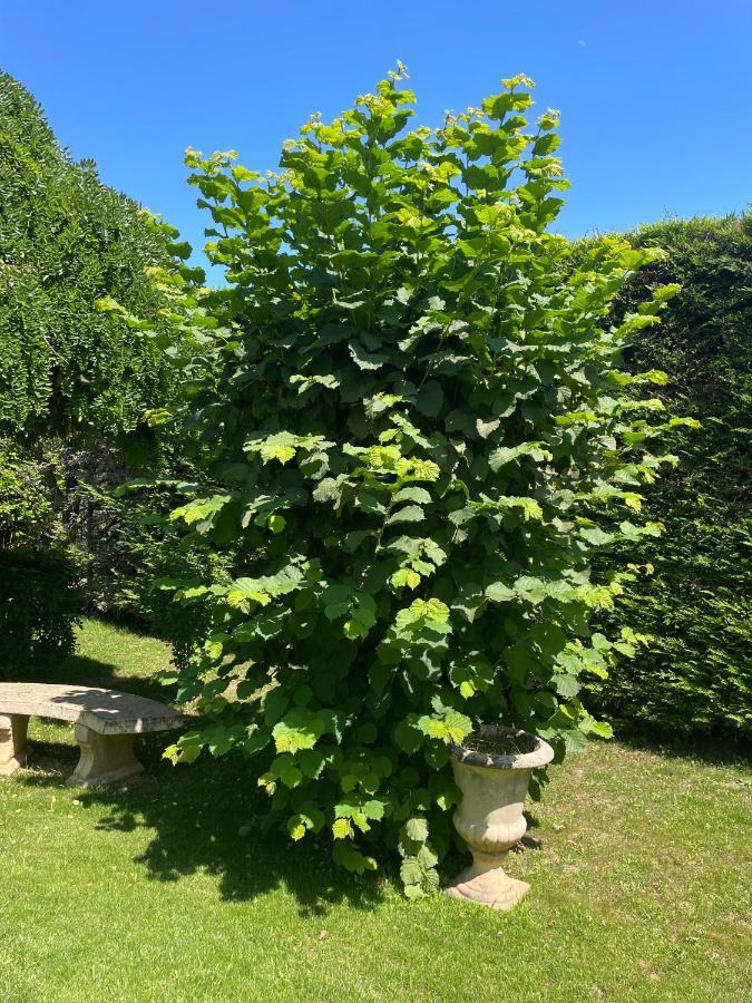 Le Clos Serein Le Beausset Bagian luar foto