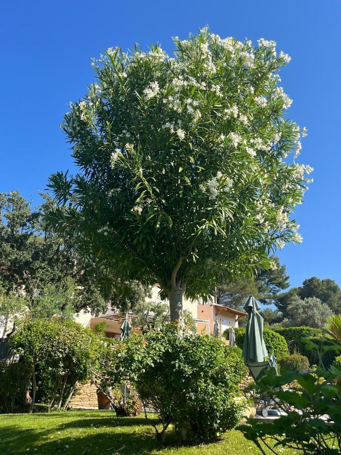 Le Clos Serein Le Beausset Bagian luar foto