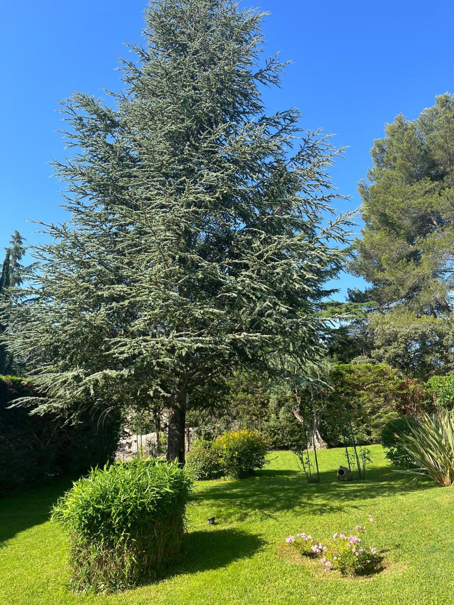 Le Clos Serein Le Beausset Bagian luar foto
