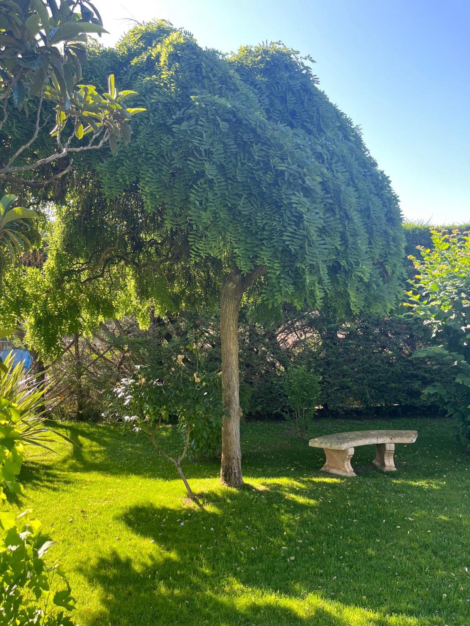 Le Clos Serein Le Beausset Bagian luar foto